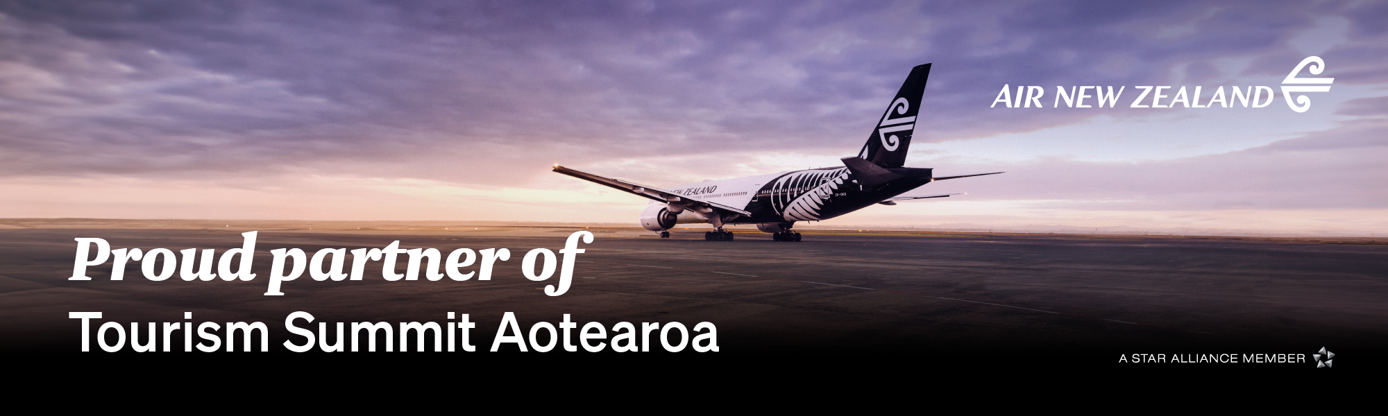 J018379 Web 600x2000 aircraft TSA v2