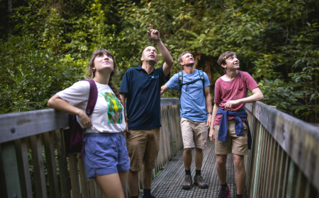 235308 nelson city nelson web 1920