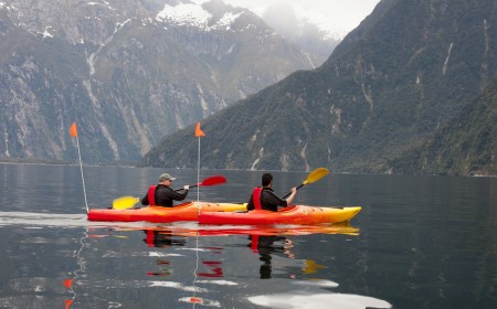 A gentle kayak trip in Milford Sound with Southern Discoveries